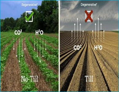 IMAGE REGENERATIVE FARMING MODEL