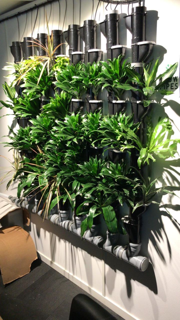 image living wall unit 4